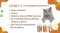Synbio7(For cats) ผลิตภัณฑ์เสริมอาหารสำหรับแมว